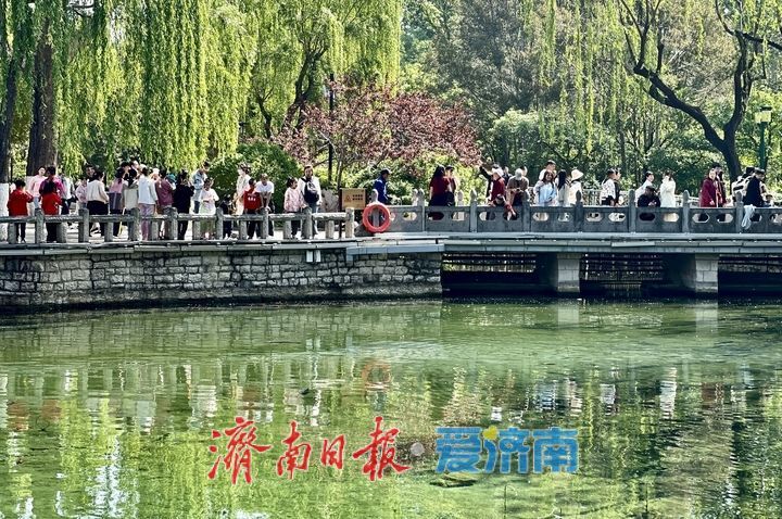 雨润泉涌引客来！趵突泉畔游人如织