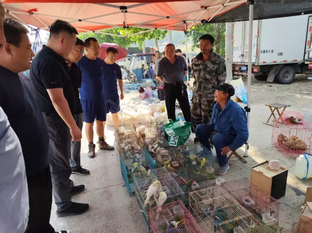 城市因园林更美好 生活因园林更幸福——2025年济南市园林和林业绿化局高质量成果展