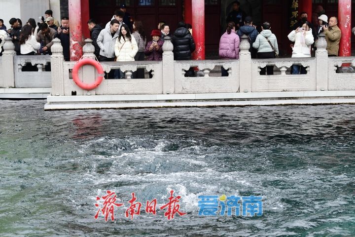 春雨润泉城花开俏争春，趵突泉畔宛如画卷引客来