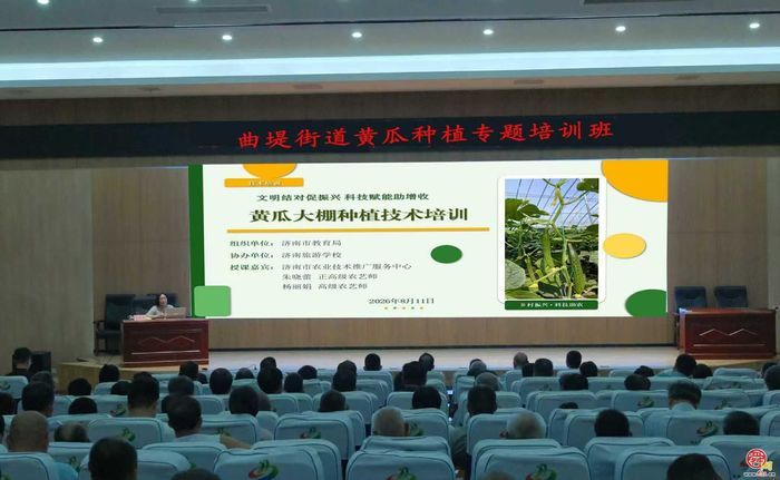 农技送田间 帮扶暖民心 ——济南市教育局开展黄瓜种植专项农技培训
