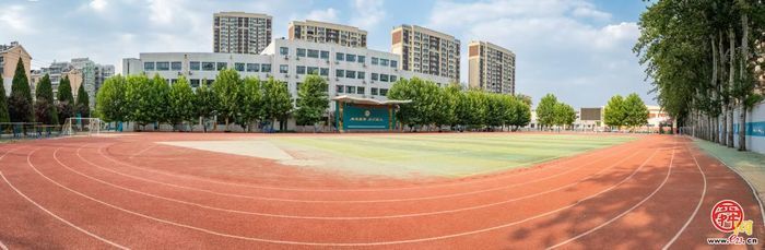 深耕教育沃土 槐荫让成长各有模样