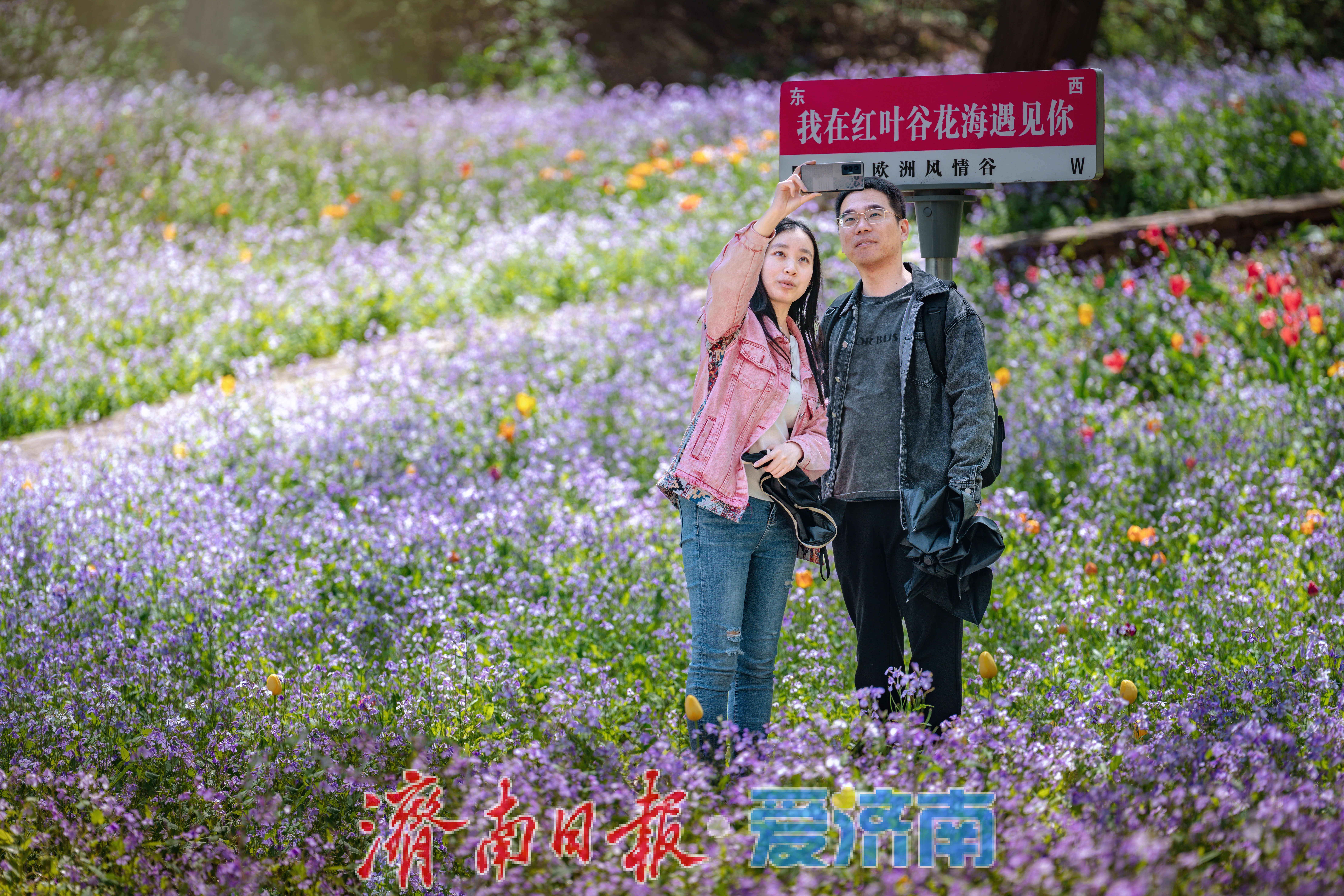 陌上花开！在最动人的季节里来红叶谷寄托向往诗与远方的心灵