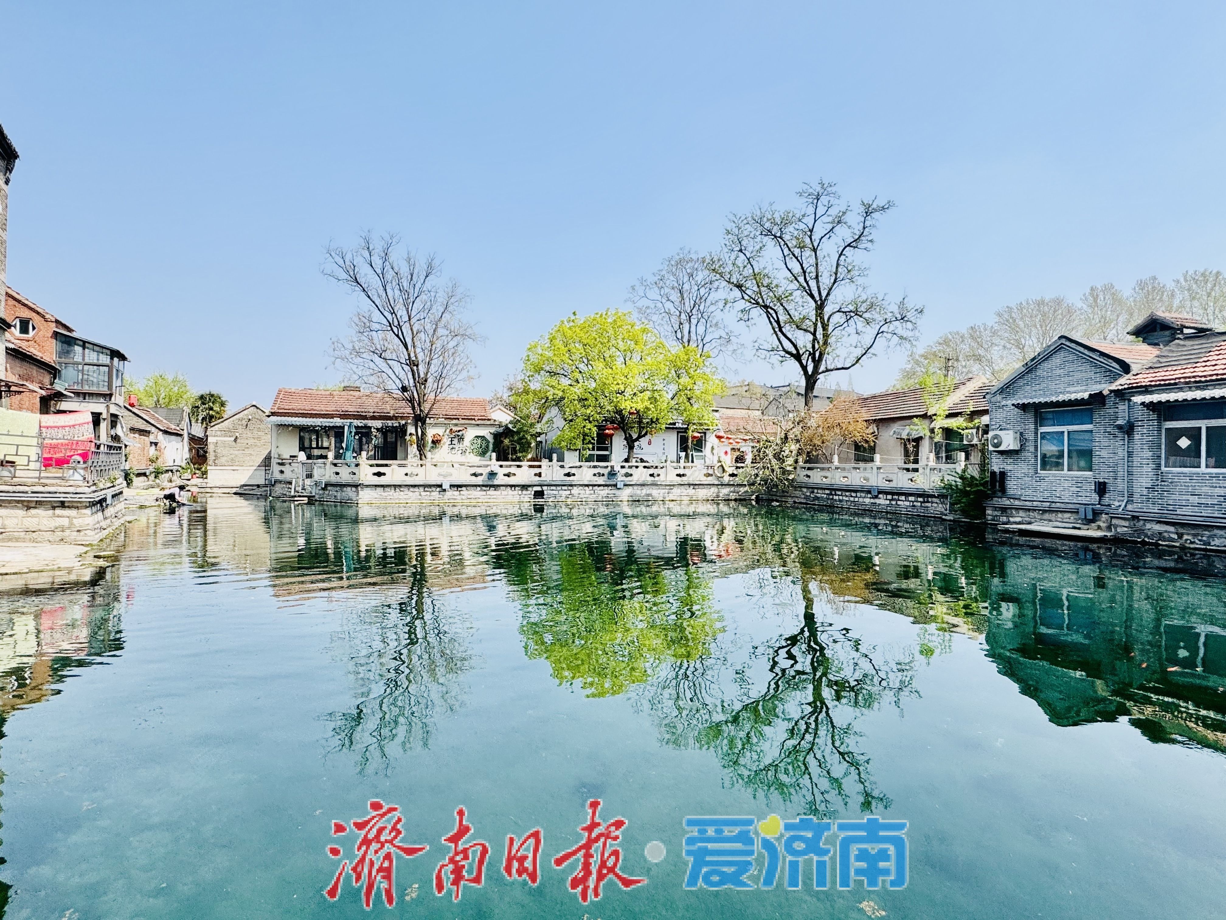 雨后泉城添诗意 王府池子春光入画来