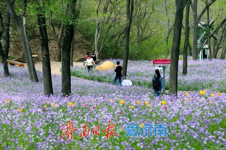 “五一”假期济南30家景区共接待游客393.27万人次，实现营业收入1.30亿元