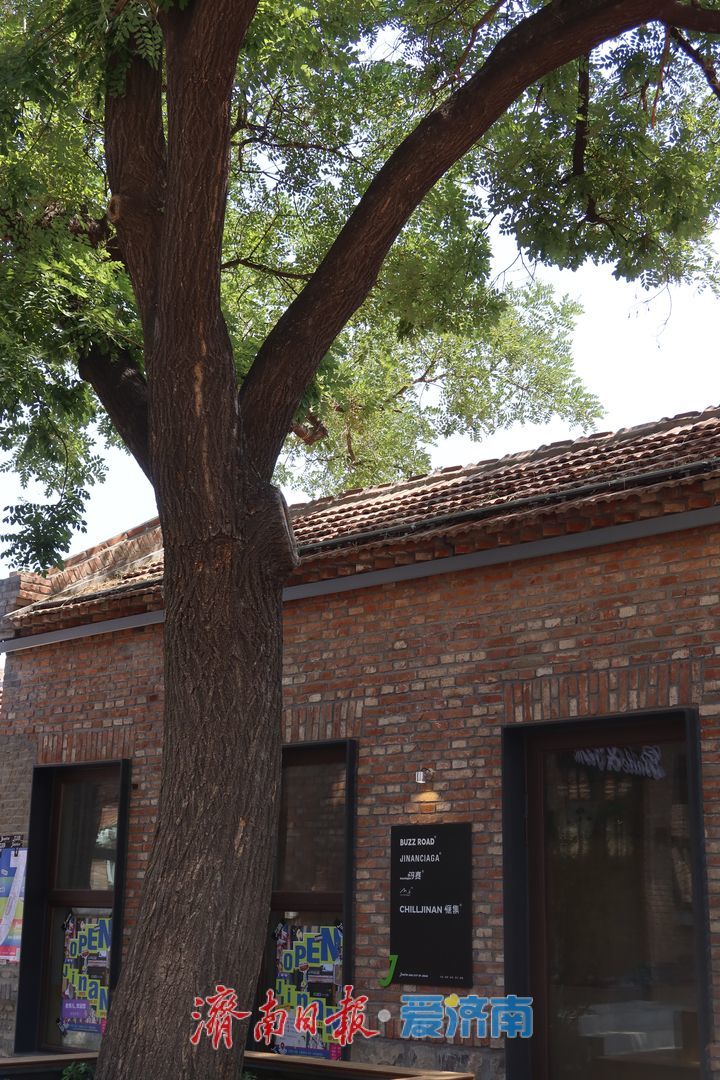 砖缝呼吸 院门生长 百年老街步步上新