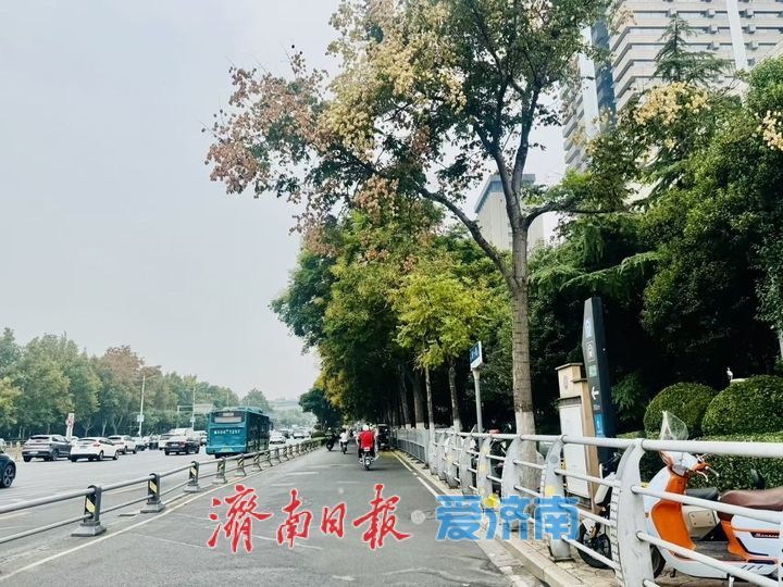 栾树缀满经十路 泉城街头添秋日亮色