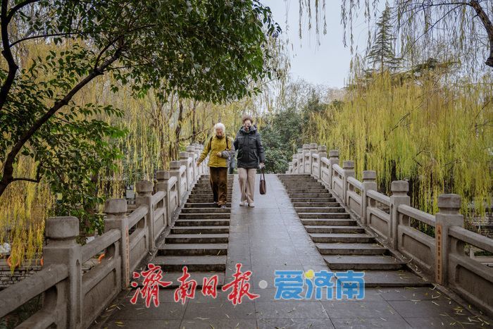 一年四季 泉在济南丨济南黑虎泉冬日云雾润蒸：清泉伴柳，仙境入画