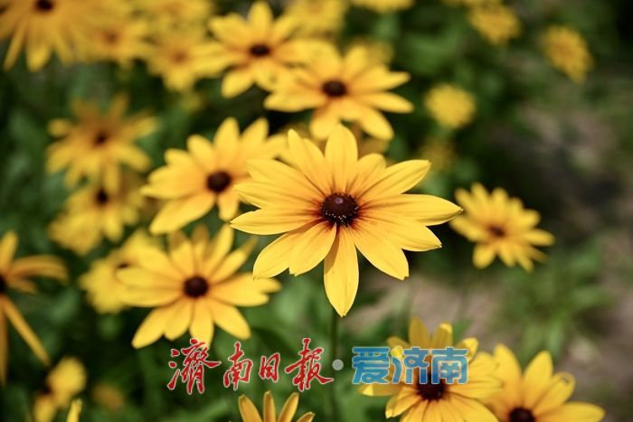 51636e9b736839ea9fb85cef3be7806c