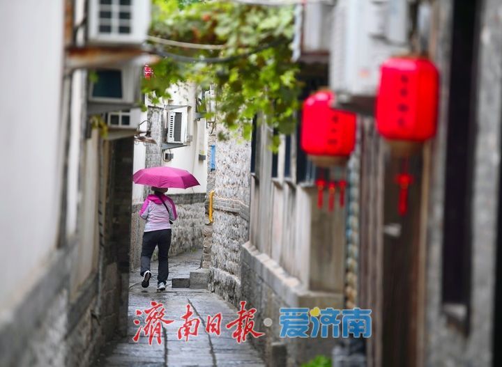 一年四季 泉在济南丨秋雨霏霏润泉城，漫游古巷听雨声