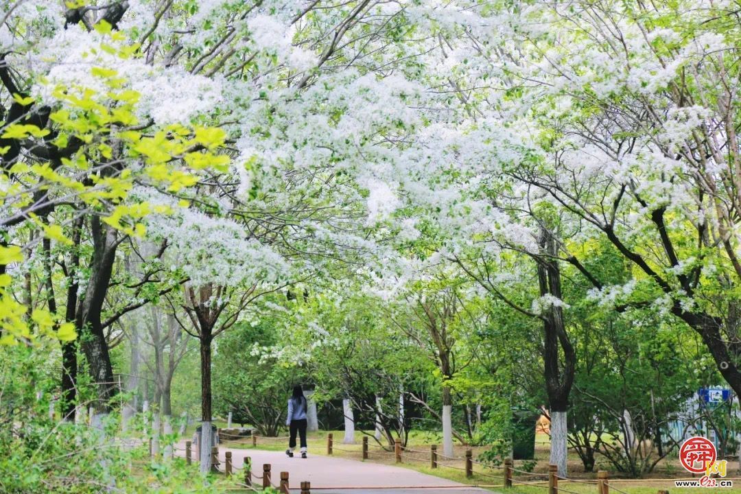 一年四季 泉在济南｜