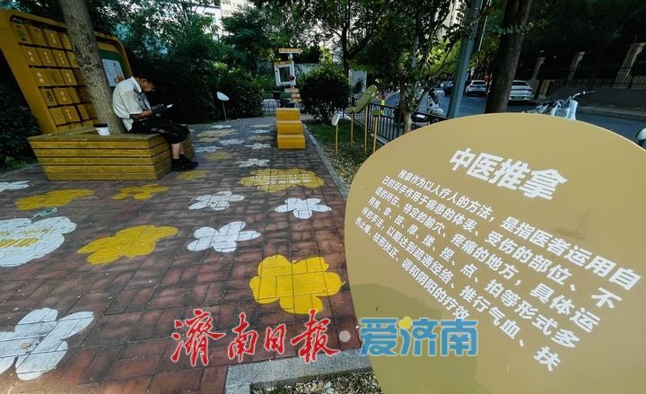方寸间的户外中医课堂