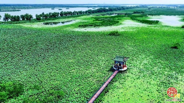 章丘：接续来时路，跃马赴新程！