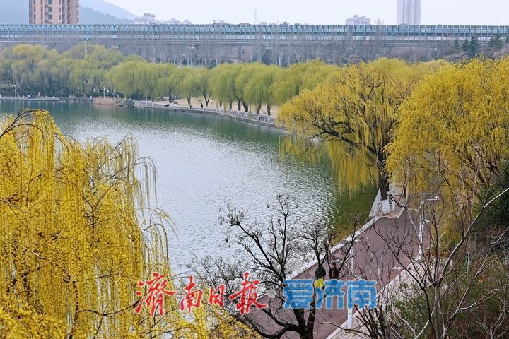 长清湖水绿岸美 生态画卷映泉城