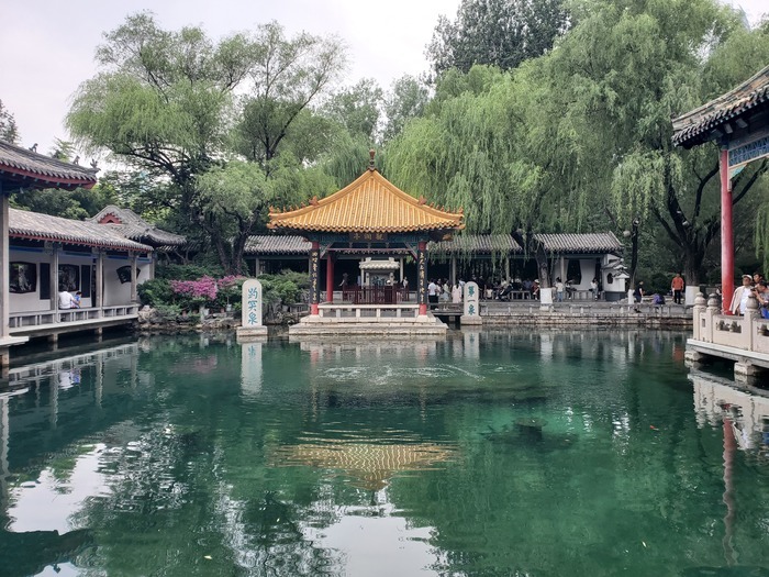 雨后泉群“畅饮”，趵突泉水位蹭蹭涨