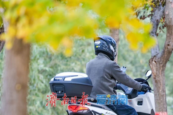 一年四季 泉在济南丨济南黄河银杏林步入唯美交替盛景