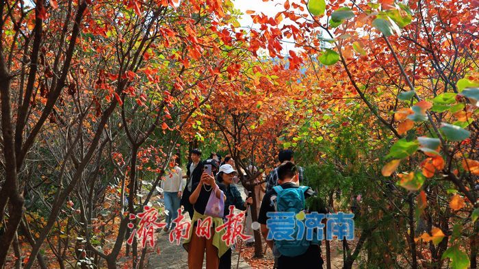 一年四季 泉在济南丨“平分秋色”胜景上线，济南蝎子山迎来“打卡热”！
