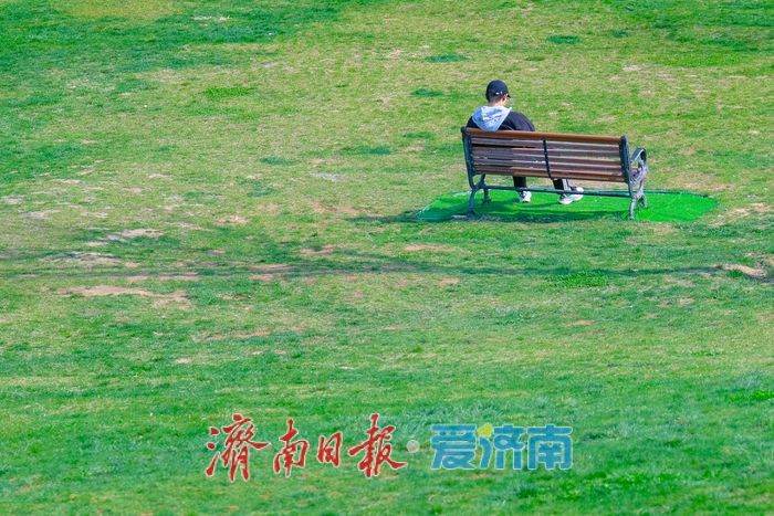 春日暖阳润新绿 菠萝山草坪成“松弛栖息地”