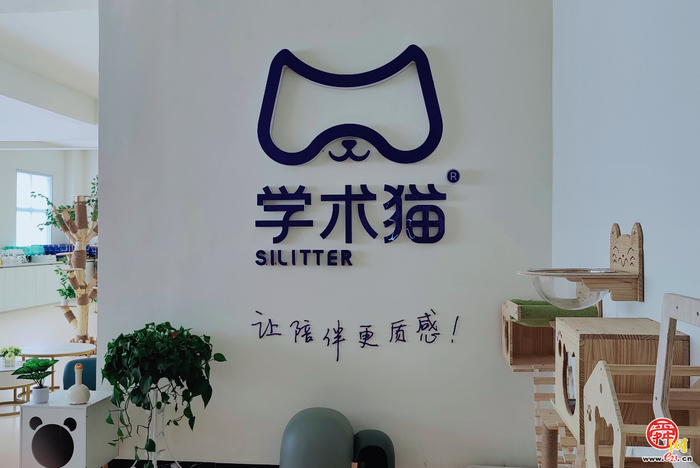 从县域工厂到全球 36% 份额 这家山东企业用猫砂敲开国际高端市场大门