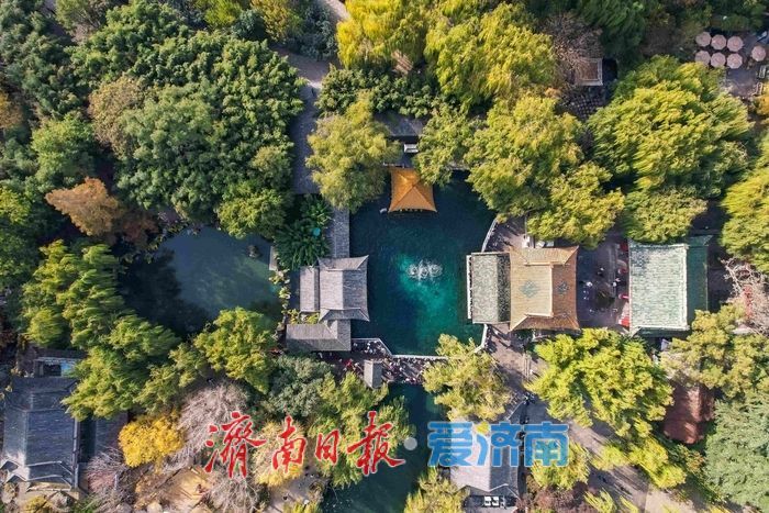 趵眼丨对标建设国际消费中心城市，泉城三大领域同步发力