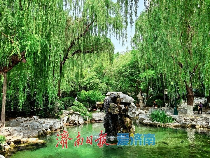 249天+29米以上持续天数：济南月牙泉与趵突泉双双刷新纪录