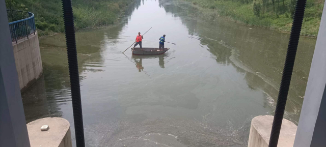 出动1900余人，济南各级水务部门进行雨后河道“大扫除”