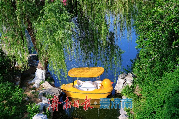 谷雨时节春意盛 市民游园赏景正当时