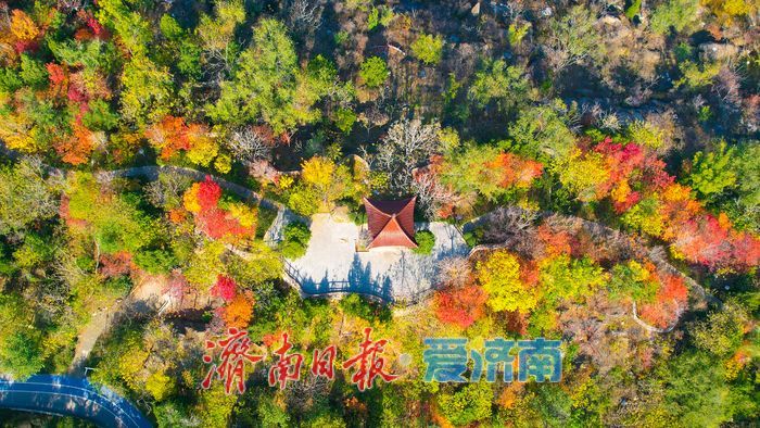 一年四季 泉在济南丨药山公园初冬美景：层林尽染处 山水入画来