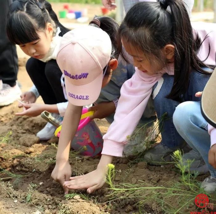 “春日‘研’途拾趣，农场躬耕成长” 历下区龙鼎实验学校一年级三班开展劳动实践研学活动