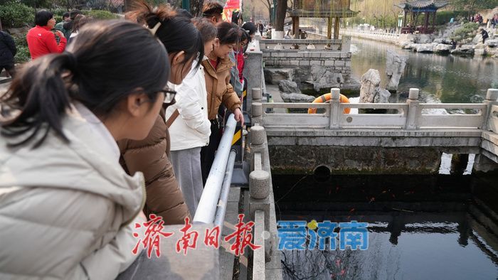 泉畔春光好，市民踏春来