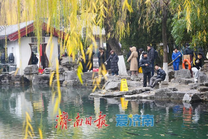 泉暖寒冬 济南泉水游点燃冬日热情