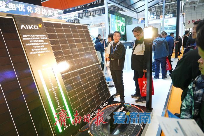 趵眼丨“双碳”牵引向绿行，泉城铺展新底色