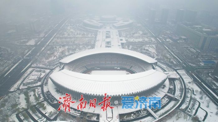 雪染 “东荷西柳” 济南奥体中心现水墨盛景