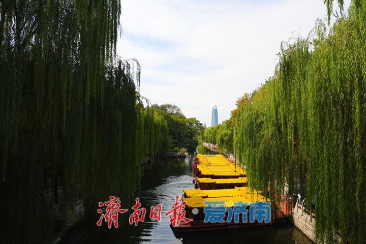 一年四季 泉在济南丨天高云淡秋意浓 泉城碧水映长天