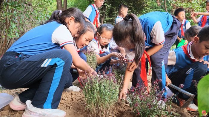 泉民植树·秋韵养护 2026年济南市全民义务植树走进唐冶中学小学部
