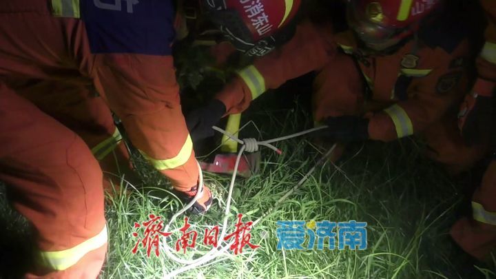 济南一公园惊现鳄鱼出没 消防员紧急处置