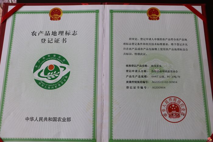 曲堤黄瓜品牌价值14.91亿元 济南农业品牌强市战略成效显著