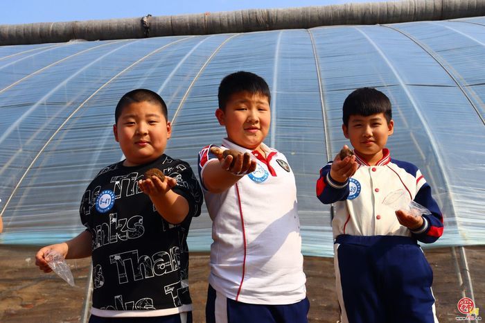 脚下踩泥土 心中藏成长——济南市天桥区枫景小学开启“‘玉’见小美好 节约大行动”主题实践课程
