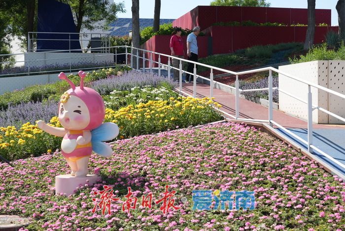 济南西部“七彩花田” 绽放如梦幻调色盘