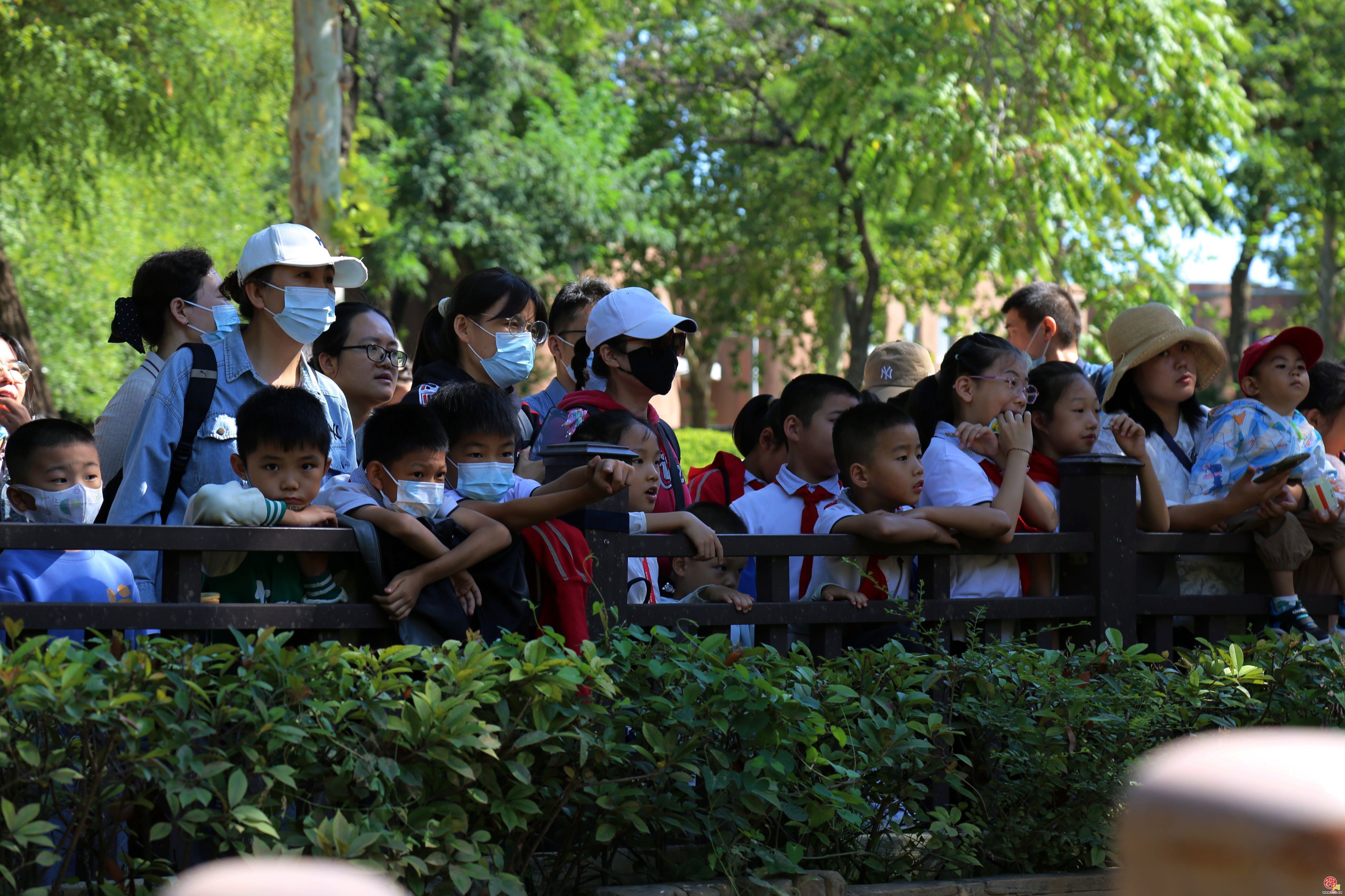 全国科普日——国际犀牛日 济南动物园内传递爱与关怀