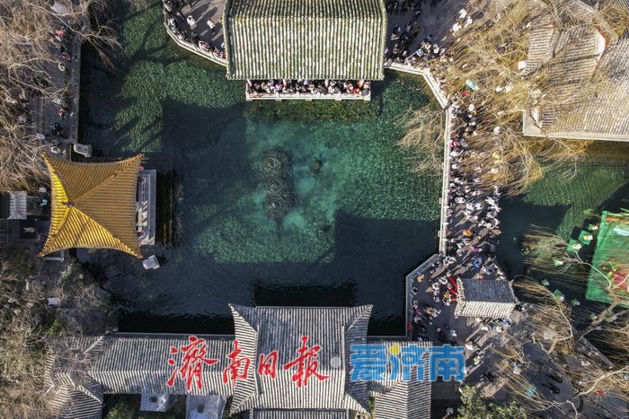 泉涌春意浓，周末泉水游热度不减