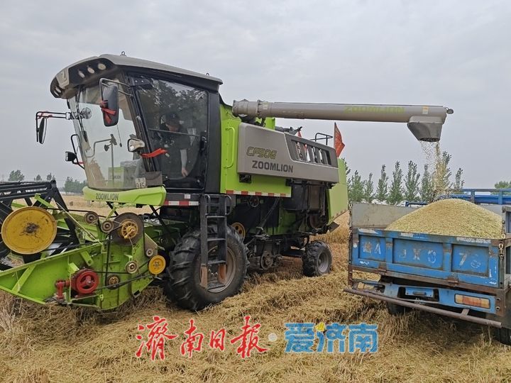 麦香飘满玉皇庙，万亩良田抢收忙