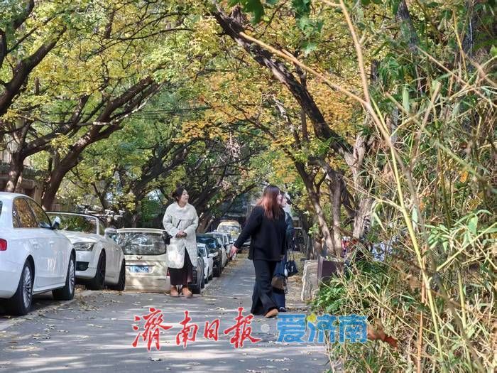 老厂房“微更新”变身“文化客厅”