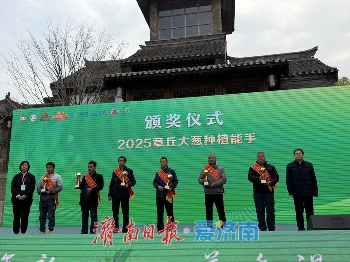 2.27米，2025章丘葱王诞生