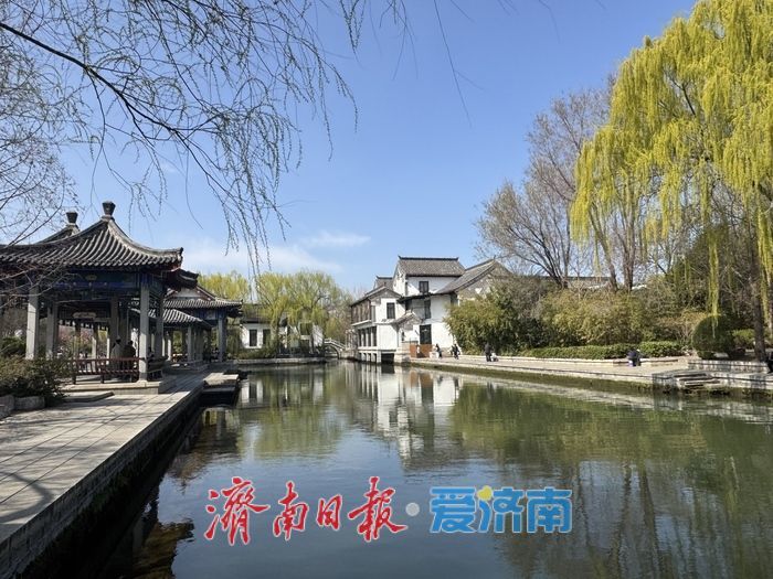 春雨初霁晴空朗 大明湖新绿映江南