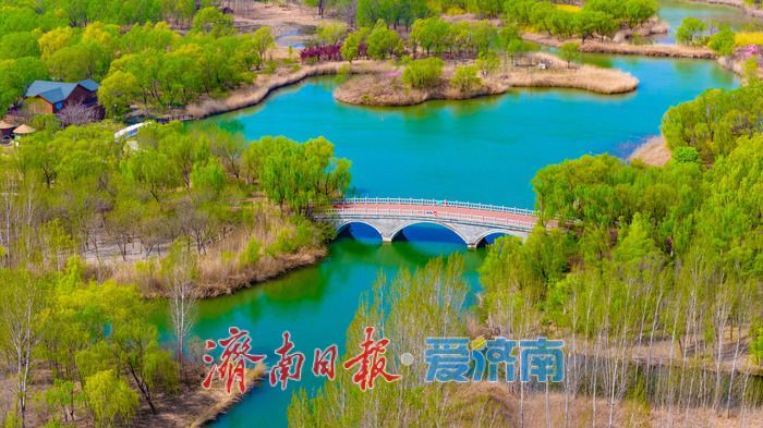 一年四季 泉在济南丨泉城晴空万里 济西湿地焕生机