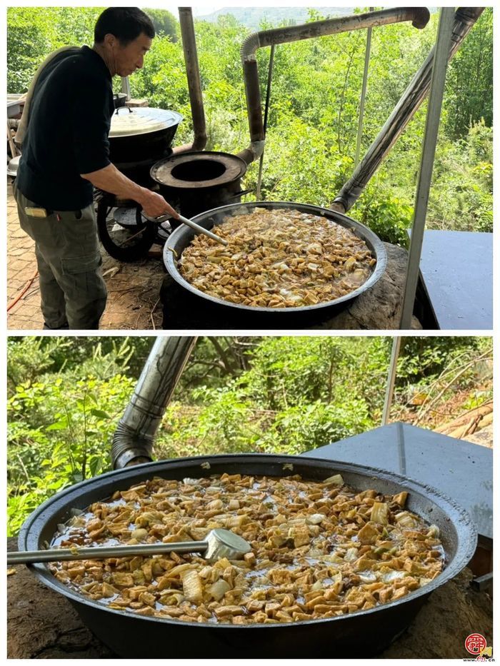 普集街道杨官党建工作区第二届流苏赏花节开幕啦！