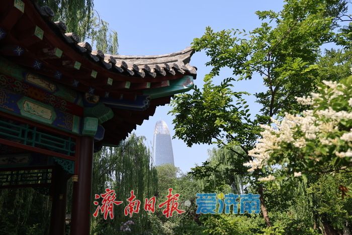 气温攀升迎初夏 五龙潭成泉城避暑纳凉好去处