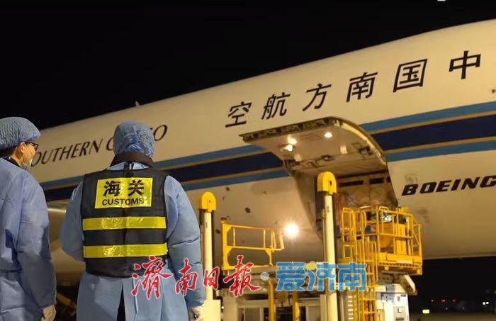 澳大利亚种牛“打飞的”来济南了