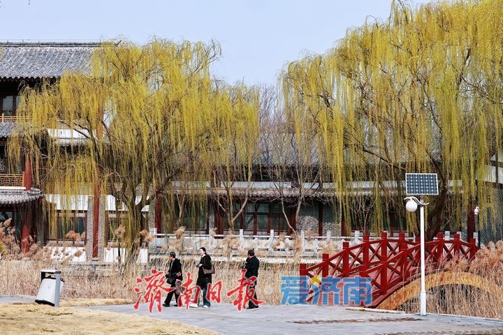 一年四季 泉在济南丨春水映花柳色新 济南园博园迎来踏青赏花好时节