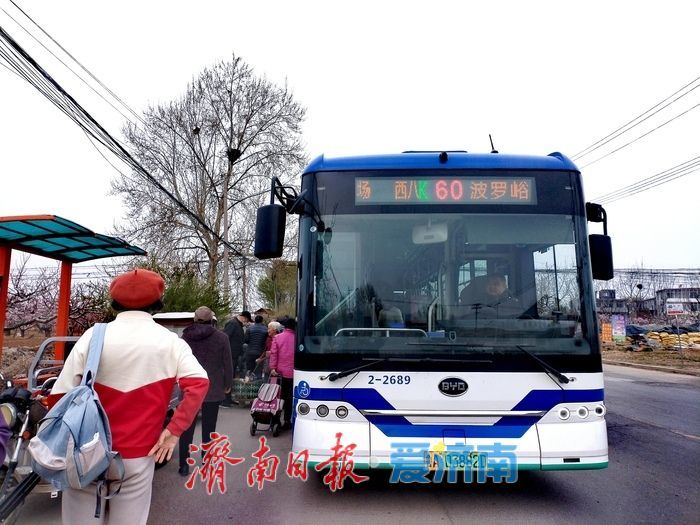 开往春天的巴士！济南公交60路邀您共赴“桃花之约”